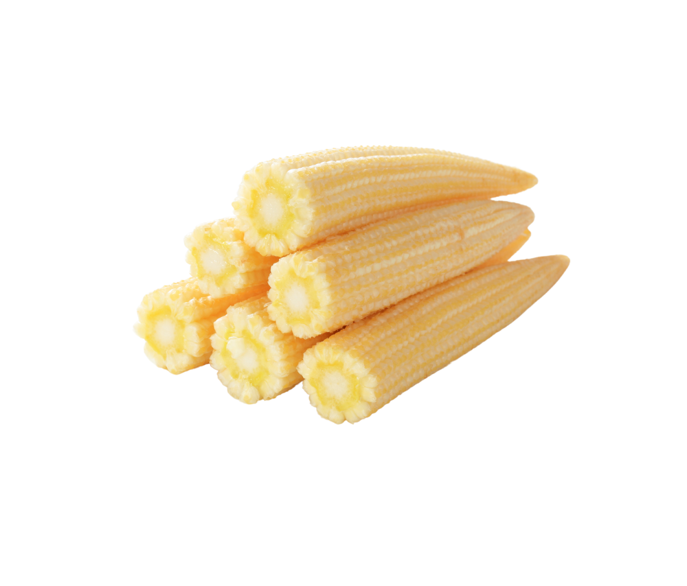 Buy Baby Corn (Packet) Freshokit
